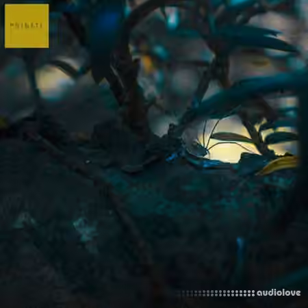 Primate Twisted Foley [WAV] - Sample Pack Artwork