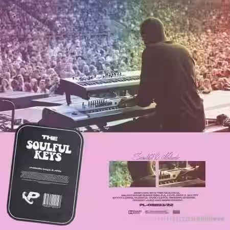 Prime Loops The Soulful Keys [WAV] - Sample Pack Artwork