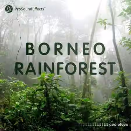 Pro Sound Effects Borneo Rainforest [WAV] - Sample Pack Artwork