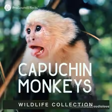 Pro Sound Effects Wildlife Collection Capuchin Monkeys [WAV]