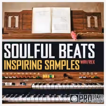 Pro Star Productions Soulful Beats Inspiring Samples [WAV] - Sample Pack Artwork