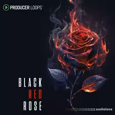 Producer Loops Black Red Rose [MULTiFORMAT] - Sample Pack Artwork