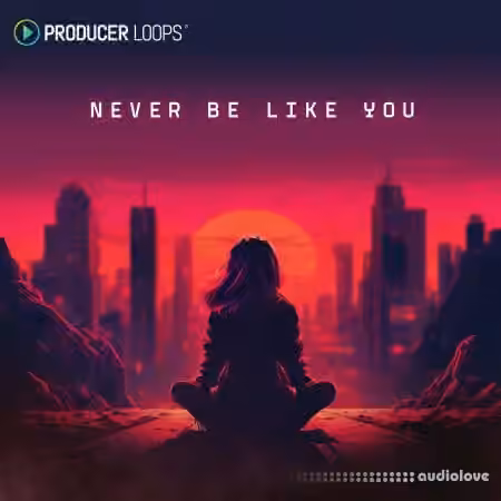 Producer Loops Never Be Like You [MULTiFORMAT] - Sample Pack Artwork