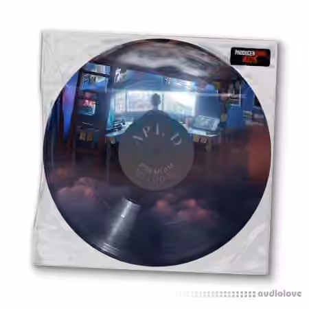ProducerGrind APT. D Premium Melodies [WAV] - Sample Pack Artwork
