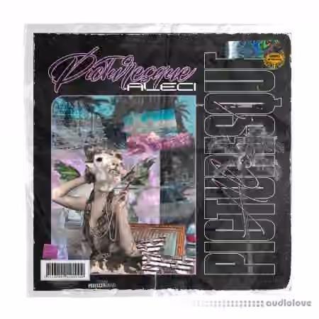ProducerGrind PICTURESQUE One Shot Kit [WAV] - Sample Pack Artwork