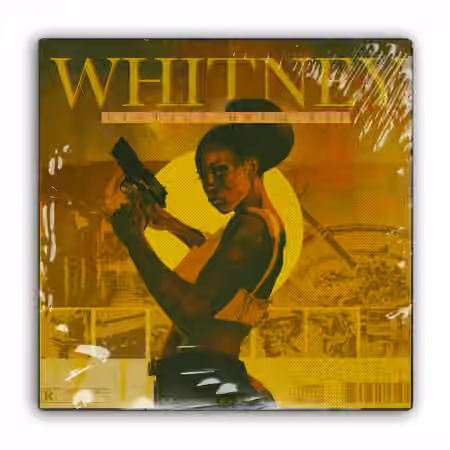 ProducerGrind WHITNEY Boom Bap Drum Kit [WAV]