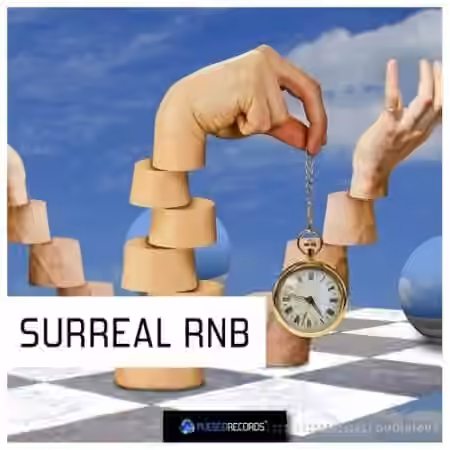 Pulsed Records Surreal RnB [WAV, MiDi] - Sample Pack Artwork