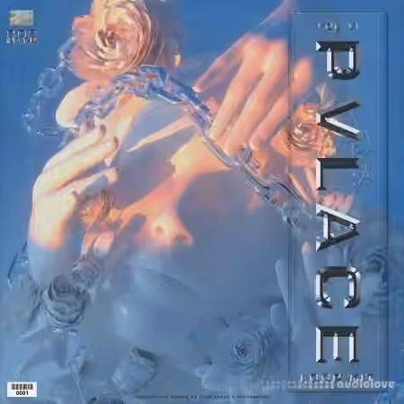 PVLACE Loopkit Vol.6 [WAV] - Sample Pack Artwork