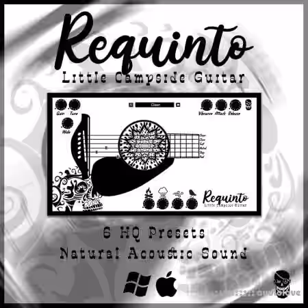 Pyrit Music Requinto Little Campside Guitar VST3 / AU [WiN, MacOSX] - Sample Pack Artwork