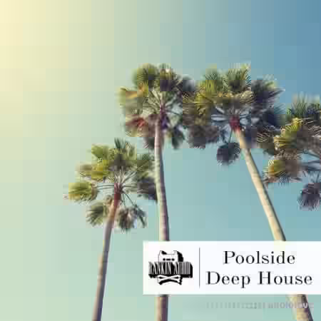 Rankin Audio Poolside Deep House [WAV] - Sample Pack Artwork