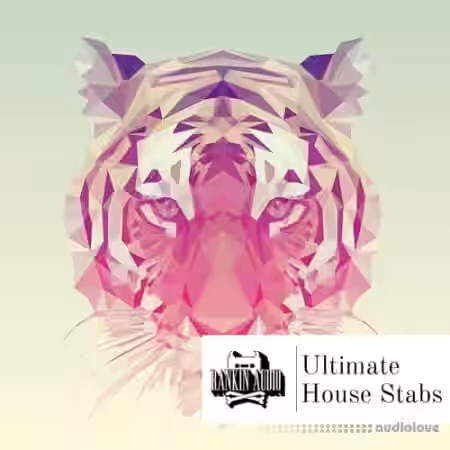 Rankin Audio Ultimate House Stabs [WAV] - Sample Pack Artwork