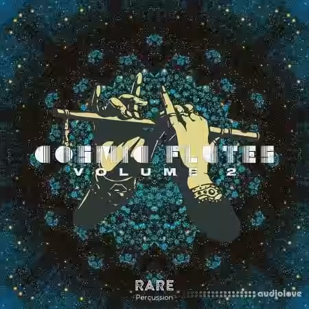 RARE Percussion Cosmic Flutes Vol.2 [WAV] - Sample Pack Artwork