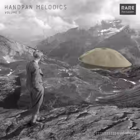 RARE Percussion Handpan Melodics Vol.3 [WAV] - Sample Pack Artwork