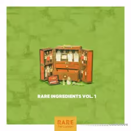 RARE Percussion Rare Ingredients [WAV] - Sample Pack Artwork