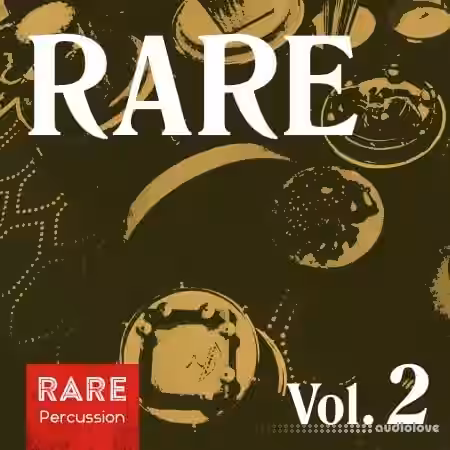 RARE Percussion RARE Vol.2 [WAV] - Sample Pack Artwork