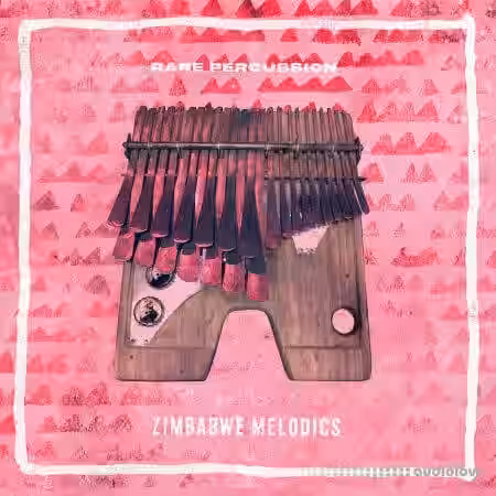 RARE Percussion Zimbabwe Melodics [WAV] - Sample Pack Artwork