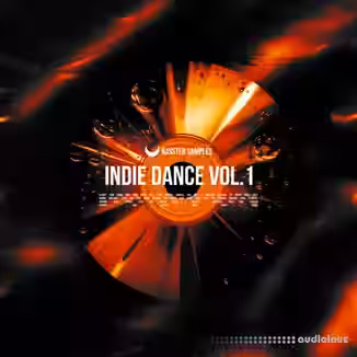 Rasster Samples Indie Dance Vol 1 [WAV, MiDi, Synth Presets]