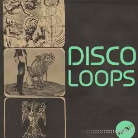 Raw Loops Disco Loops [WAV] - Sample Pack Artwork
