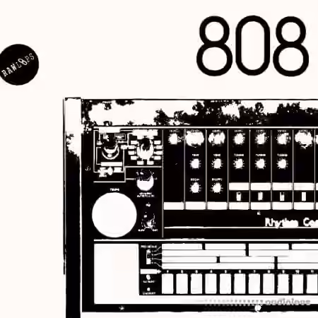 Raw Loops RAW 808 Drum Hits [WAV] - Sample Pack Artwork