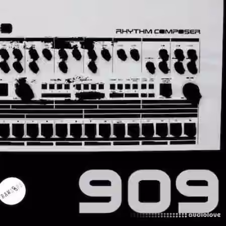 Raw Loops RAW 909 Drum Hits [WAV] - Sample Pack Artwork