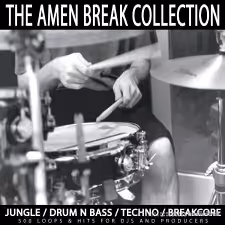 R.A.W. The Amen Break Collection [WAV, REX, AiFF]