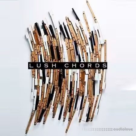 RawNois3 Lush Chords Sample Collection with Stems [WAV] - Sample Pack Artwork