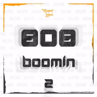 Regal Loops 808 Boomin 2 [WAV]