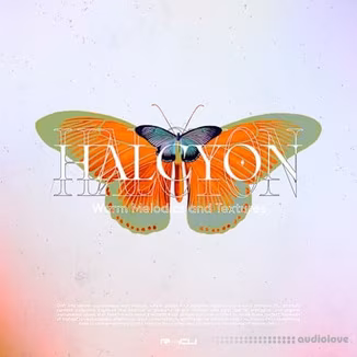 Renraku Halcyon Warm Melodics And Textures [WAV]