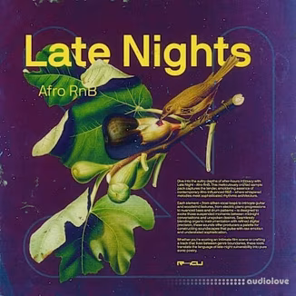Renraku Late Nights - Afro Rnb [WAV]