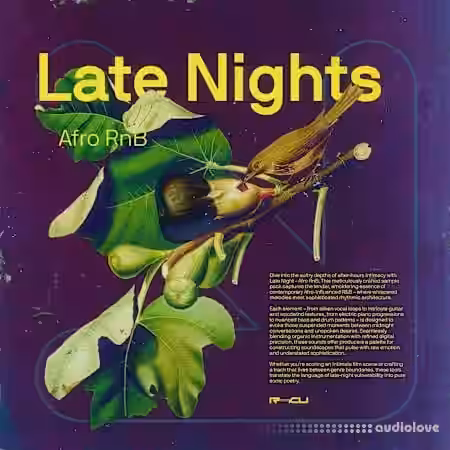 Renraku Late Nights - Afro Rnb [WAV] - Sample Pack Artwork