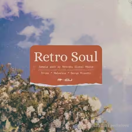 Renraku Retro Soul SERUM [WAV, Synth Presets] - Sample Pack Artwork