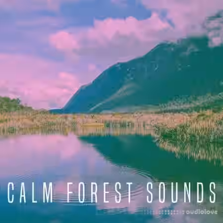 Rest and Relax Nature Sounds Calm Forest Sounds [FLAC] - Sample Pack Artwork