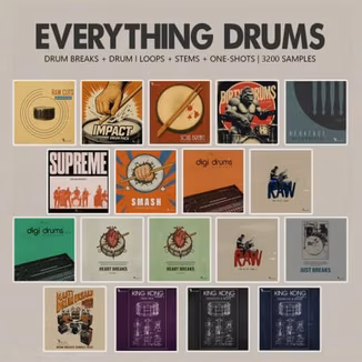 Retro Loops Everything Drums (One-Shots and Drum Breaks) [WAV]
