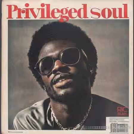 Ric Beats Privileged Soul Sample Pack [WAV] - Sample Pack Artwork