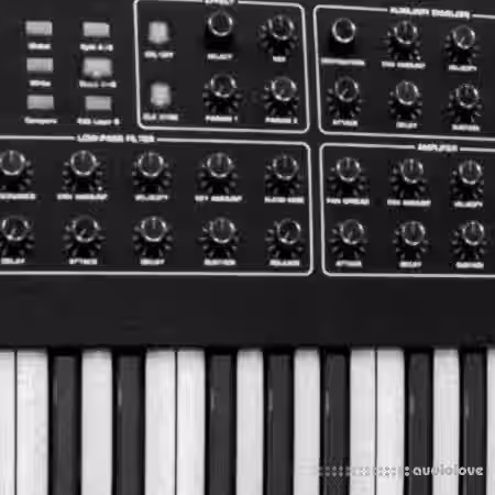 Riemann Kollektion 30 Techno Chords #3 (Bandcamp) [WAV] - Sample Pack Artwork