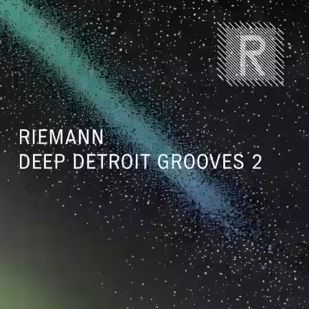 Riemann Kollektion Riemann Deep Detroit Grooves 2 [WAV]