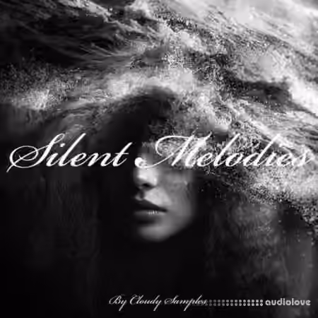 Rightsify Silent Melodies [WAV] - Sample Pack Artwork