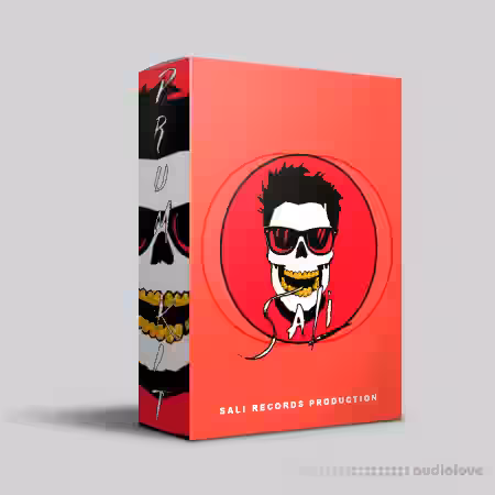 Sali Records Production Drum Kit [WAV] - Sample Pack Artwork