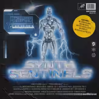 Sam Potozkin Synth Sentinels [WAV, Synth Presets]