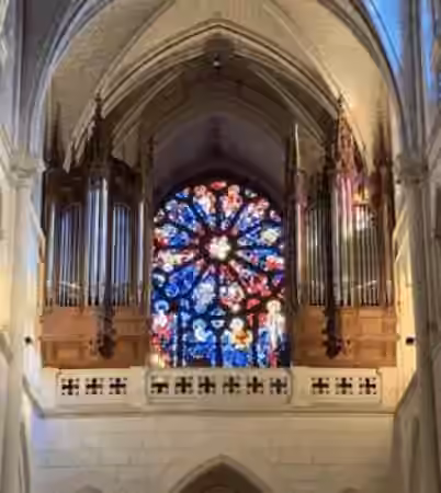Sam Sleath Notre Dame de Vimoutiers Built by Aristide Cavaille-Coll [Hauptwerk] - Sample Pack Artwork