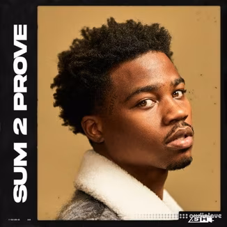 Sample Hub Sum 2 Prove [WAV]