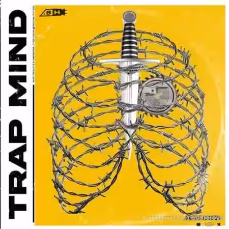 Sample Hub Trap Mind [WAV]