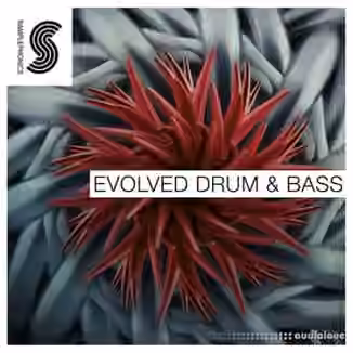 Samplephonics Evolved Drum and Bass [MULTiFORMAT]