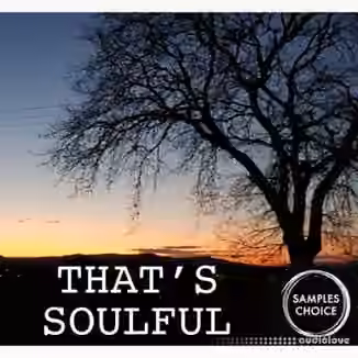 Samples Choice That's Soulful [WAV]