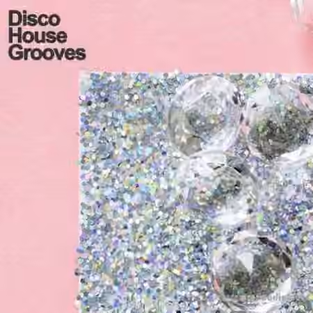 Samplestar Disco House Grooves [WAV, MiDi] - Sample Pack Artwork