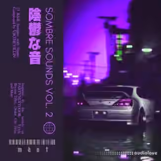 SamplesWave Sombre Sounds Vol.2 [WAV]