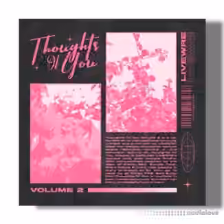 SamplesWave Thoughs Of You Vol.2 (Compositions and Stems) [WAV]