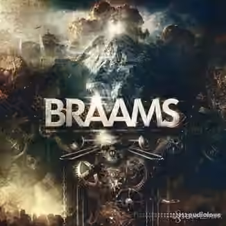 SampleTraxx Braams v1.1 [KONTAKT]
