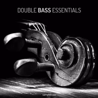 SampleTraxx Double Bass Essentials [KONTAKT, WAV]