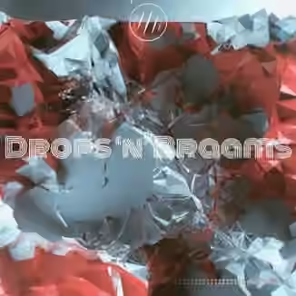 SampleTraxx DROPS n BRAAMS [WAV]
